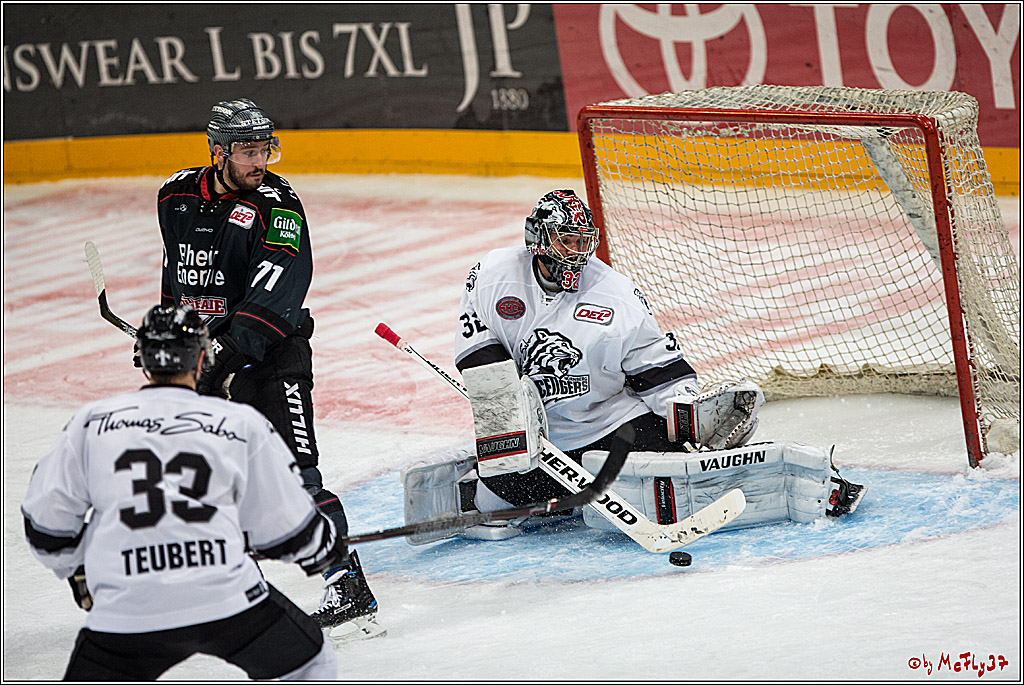 DEL, Koelner Haie - Nuernberg Ice Tiger, 24.01.2017